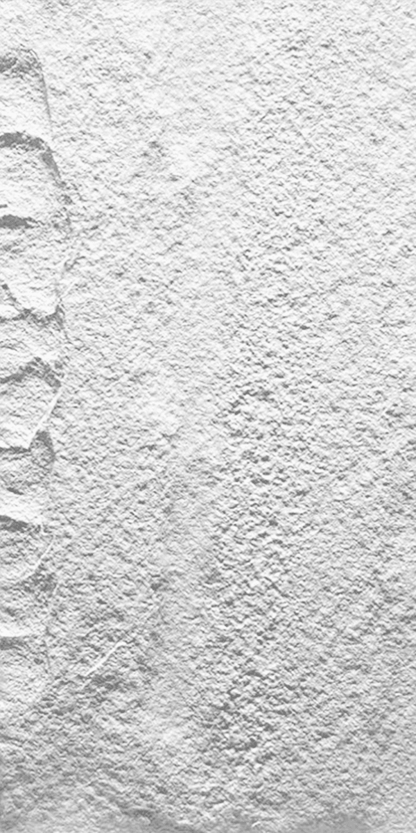 PU Stone Panel 2