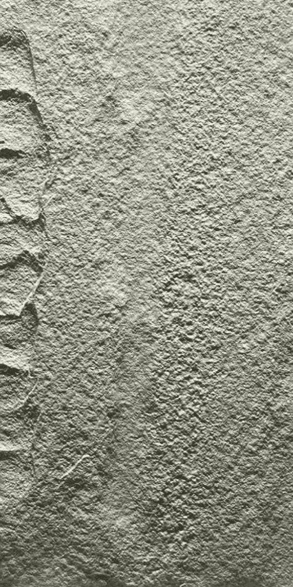 PU Stone Panel 3